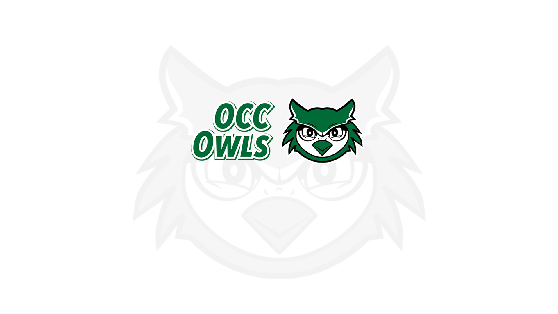 Owls fall on the road against No.13 Schoolcraft